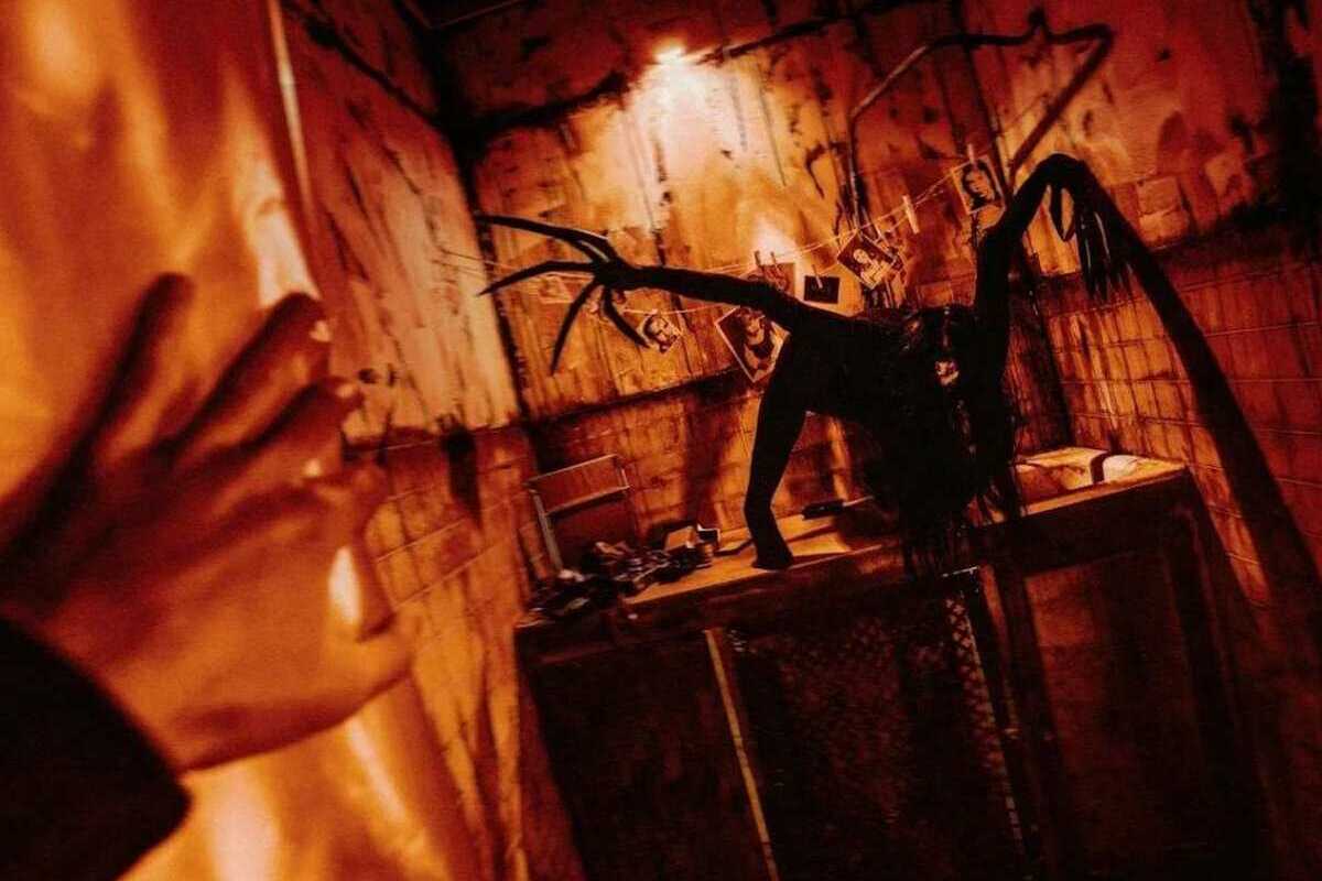 Фото квеста