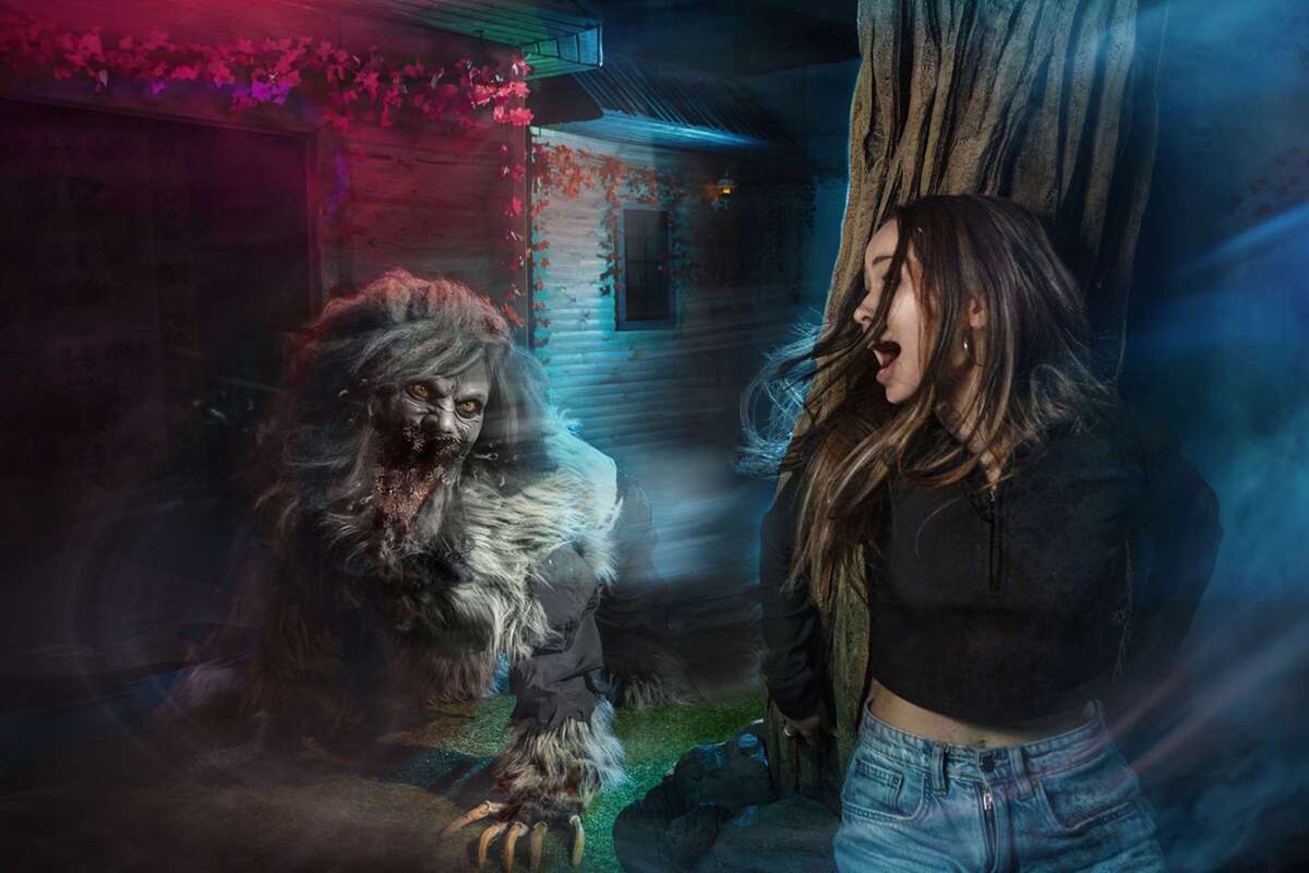 Фото квеста